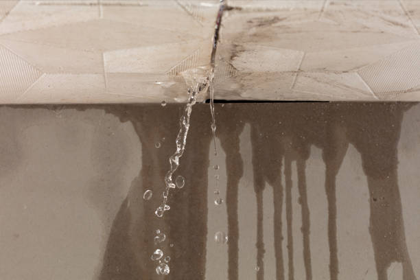 Professional Burst Pipe Cleanup technician working in Central City, CO